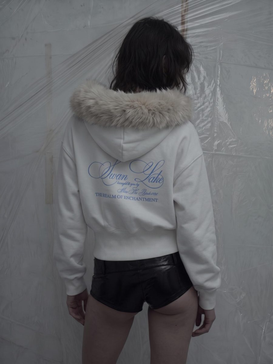 SWAN LAKE ALASKA HOODIE